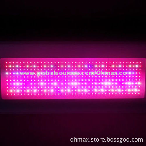 High-power 1200W LED grow lights, full color system, for medicinal plants, CE/FCC certified, RoHS